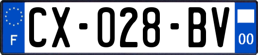 CX-028-BV