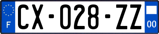 CX-028-ZZ