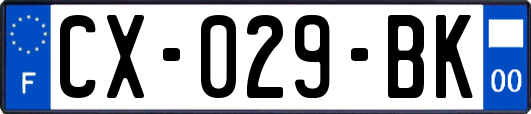 CX-029-BK