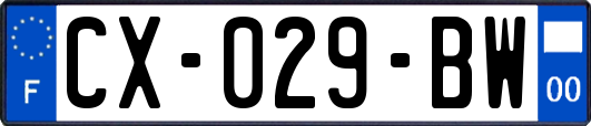 CX-029-BW