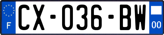 CX-036-BW