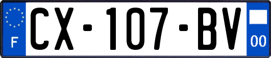 CX-107-BV