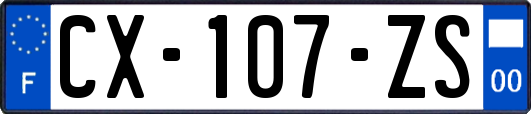 CX-107-ZS