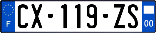 CX-119-ZS