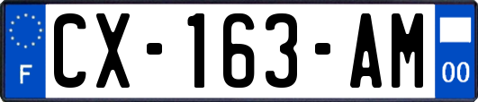 CX-163-AM