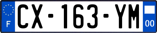 CX-163-YM