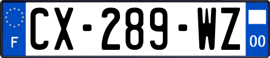 CX-289-WZ