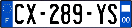 CX-289-YS