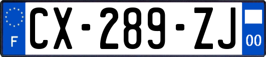 CX-289-ZJ