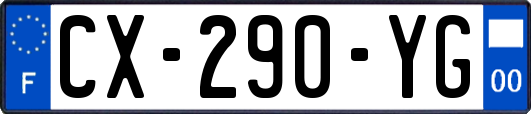 CX-290-YG