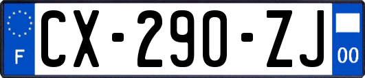 CX-290-ZJ