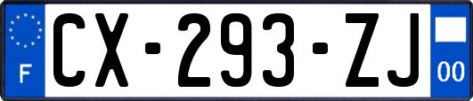 CX-293-ZJ