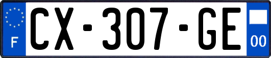 CX-307-GE