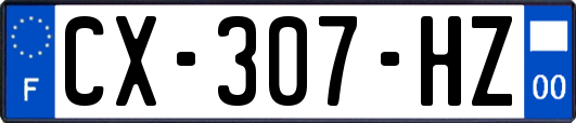 CX-307-HZ