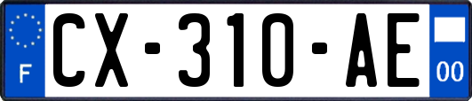 CX-310-AE