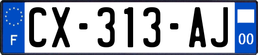 CX-313-AJ