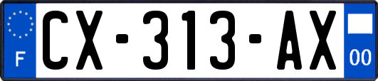 CX-313-AX