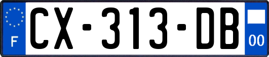 CX-313-DB