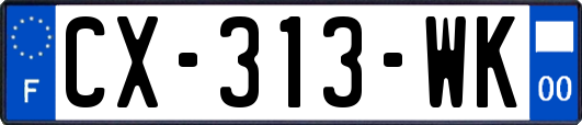 CX-313-WK