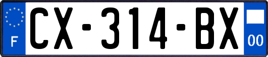 CX-314-BX