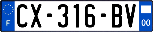 CX-316-BV