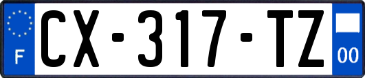 CX-317-TZ