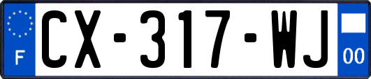 CX-317-WJ