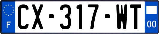 CX-317-WT