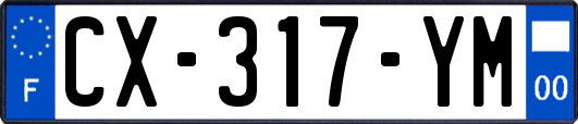 CX-317-YM