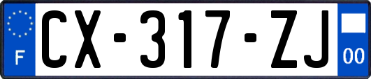 CX-317-ZJ