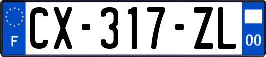 CX-317-ZL