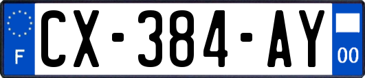 CX-384-AY