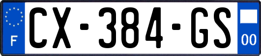 CX-384-GS