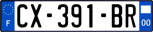 CX-391-BR