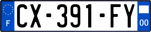 CX-391-FY