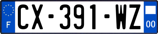 CX-391-WZ