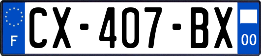 CX-407-BX