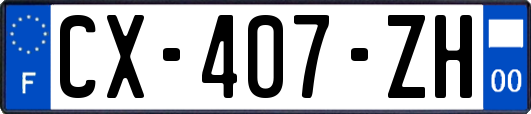 CX-407-ZH