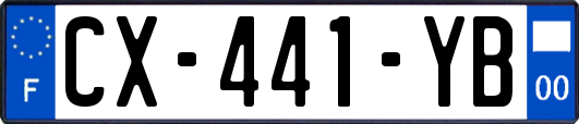 CX-441-YB