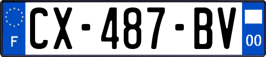 CX-487-BV