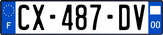 CX-487-DV