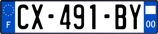 CX-491-BY