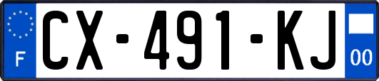 CX-491-KJ