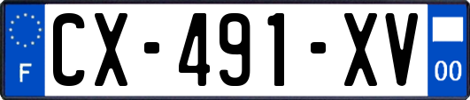 CX-491-XV