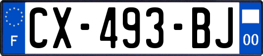 CX-493-BJ