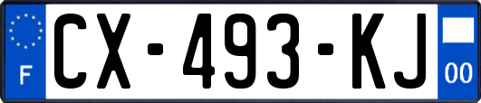 CX-493-KJ