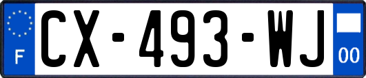 CX-493-WJ