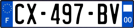 CX-497-BV