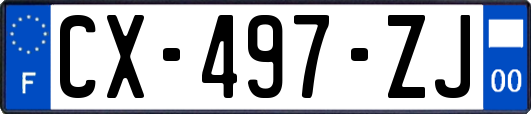 CX-497-ZJ