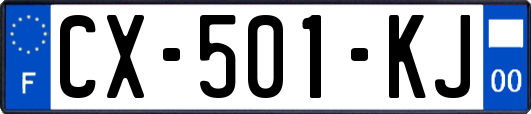 CX-501-KJ